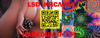 гашик Аргун