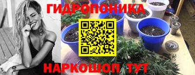 гашик Аргун