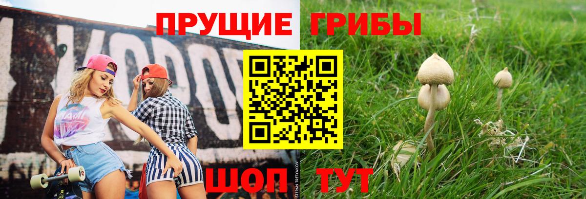 Белогорск  Псилоцибиновые грибы мицелий  Вход с VPN 
